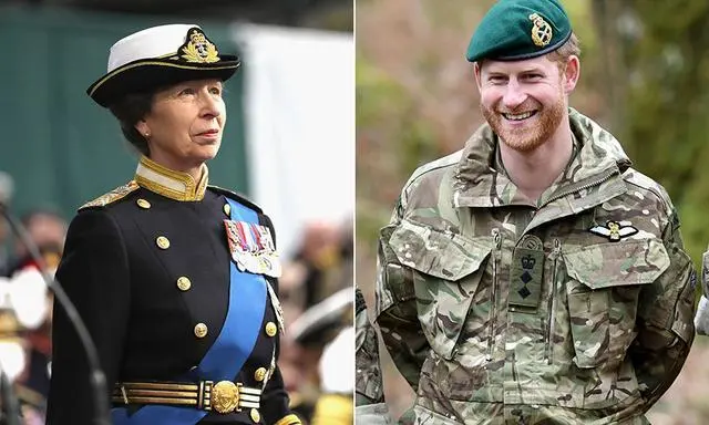 70岁安妮公主接棒侄子哈里 将成英国皇家海军陆战队首位女司令 天天要闻