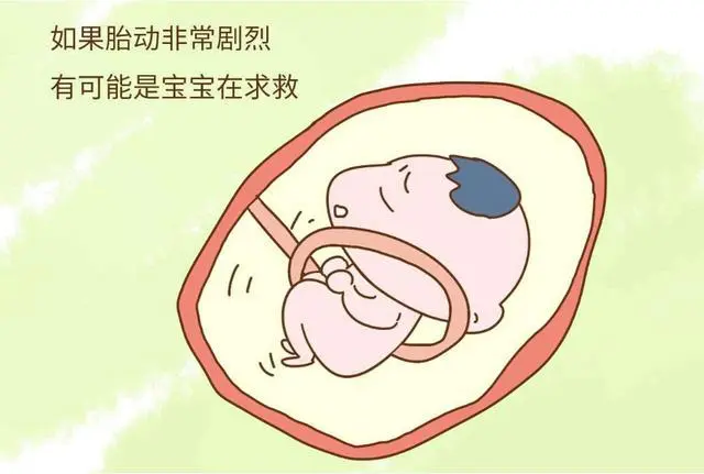 胎儿最美妙的语言 如何读懂孕期胎动 天天要闻