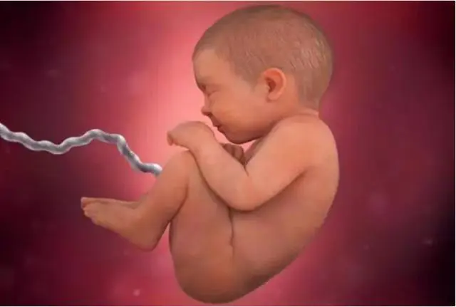 怀孕38周跟40周生的宝宝区别大吗 这两周胎儿发育情况你清楚吗 天天要闻