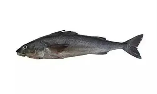 How to distinguish true and false cod? Eating a mistake will kill the baby! An article teaches you how to pick cod